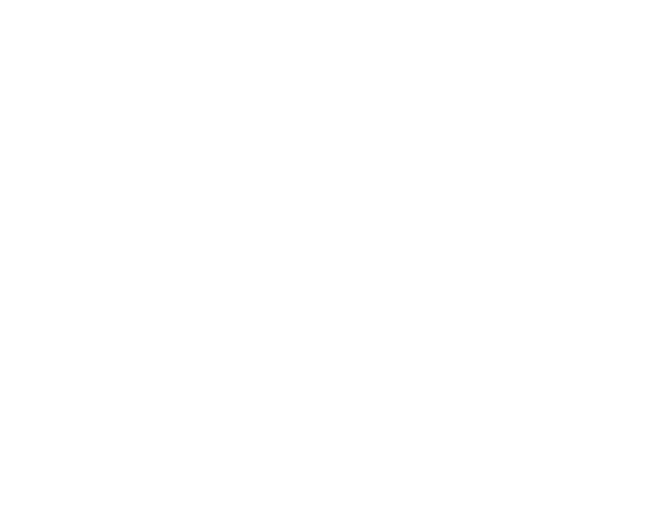 FF Rebel